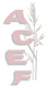 Logo de Acef