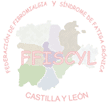 Logo de FFISCYL